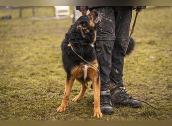 Nia: 50cm großes, aktives Mädchen