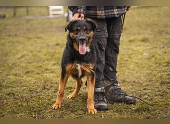 Nia: 50cm großes, aktives Mädchen