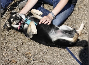 Süßer Vince sucht neuen Wirkungskreis