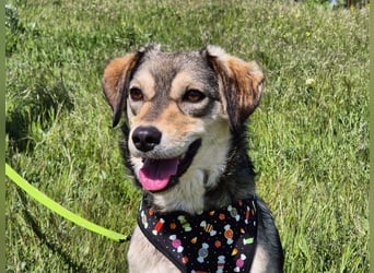 Mayli sucht ein liebevolles Zuhause