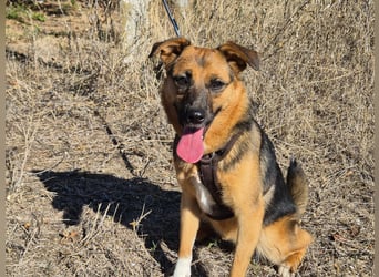 Liebe Ruby sucht eine neue Bleibe