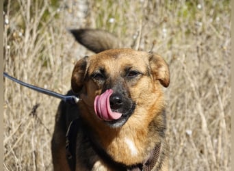 Liebe Ruby sucht eine neue Bleibe