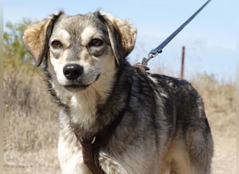 Mayli sucht ein liebevolles Zuhause