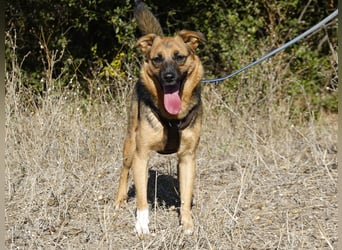 Liebe Ruby sucht eine neue Bleibe