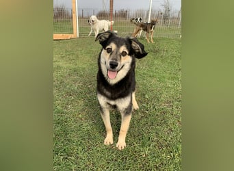 Süßer Vince sucht neuen Wirkungskreis