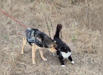 Lieber Terry sucht seine Menschen