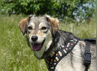 Mayli sucht ein liebevolles Zuhause