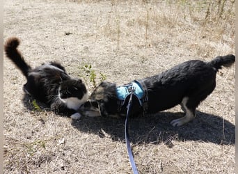 Süßer Vince sucht neuen Wirkungskreis