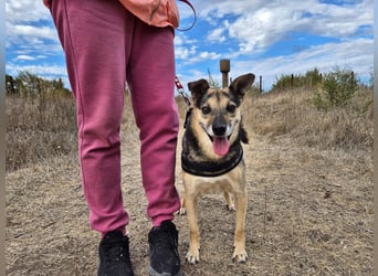 Lieber Terry sucht seine Menschen