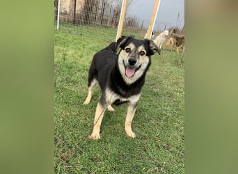 Süßer Vince sucht neuen Wirkungskreis