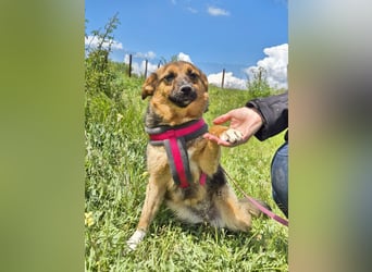 Liebe Ruby sucht eine neue Bleibe