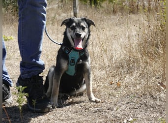Süßer Vince sucht neuen Wirkungskreis