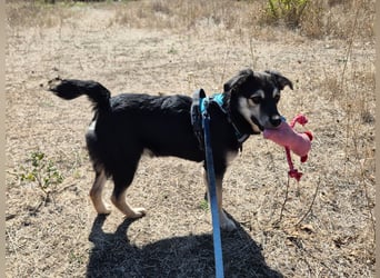 Süßer Vince sucht neuen Wirkungskreis