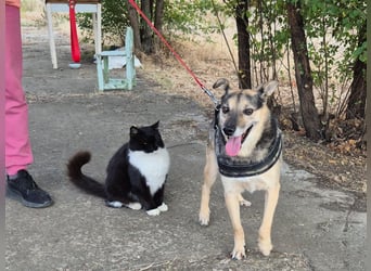 Lieber Terry sucht seine Menschen