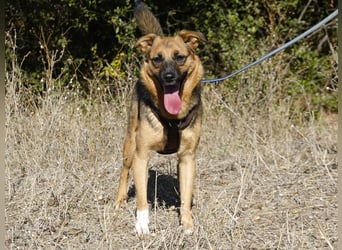 Liebe Ruby sucht eine neue Bleibe