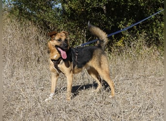 Liebe Ruby sucht eine neue Bleibe Liebe Ruby sucht eine neue Bleibe