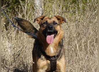 Liebe Ruby sucht eine neue Bleibe