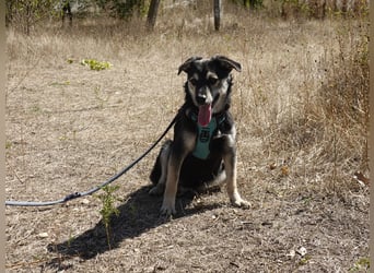 Süßer Vince sucht neuen Wirkungskreis