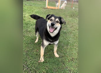 Süßer Vince sucht neuen Wirkungskreis