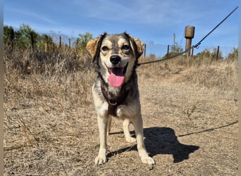 Mayli sucht ein liebevolles Zuhause