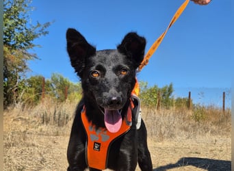 Yuna sucht ihre Familie