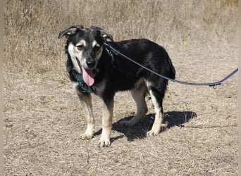 Kleiner Vince sucht neuen Wirkungskreis