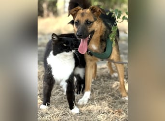 Liebe Ruby sucht eine neue Bleibe