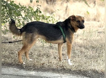 Liebe Ruby sucht eine neue Bleibe Liebe Ruby sucht eine neue Bleibe