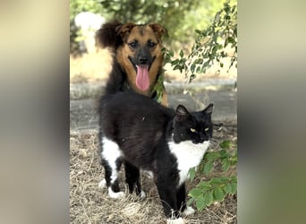 Liebe Ruby sucht eine neue Bleibe