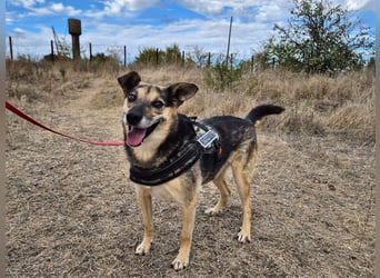 Lieber Terry sucht seine Menschen