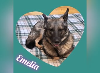 Emelia lebt bei einer Pflegefamilie in Rumänien