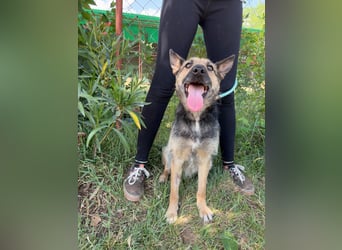Norka - Sucht ein warmes Zuhause