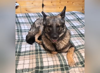 Emelia lebt bei einer Pflegefamilie in Rumänien