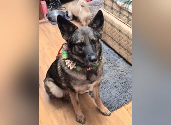 Emelia lebt bei einer Pflegefamilie in Rumänien