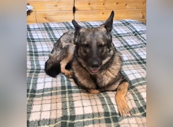 Emelia lebt bei einer Pflegefamilie in Rumänien