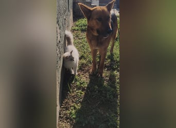  Luna sucht eine Pflege- oder Endstelle