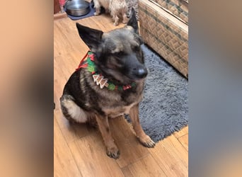 Emelia lebt bei einer Pflegefamilie in Rumänien