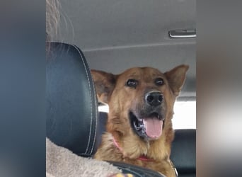  Luna sucht eine Pflege- oder Endstelle