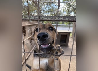 Jankó möchte zeigen, was in ihm steckt