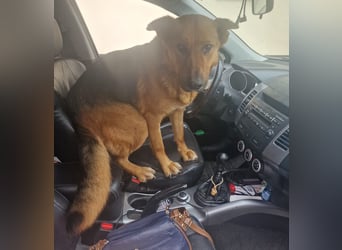  Luna sucht eine Pflege- oder Endstelle