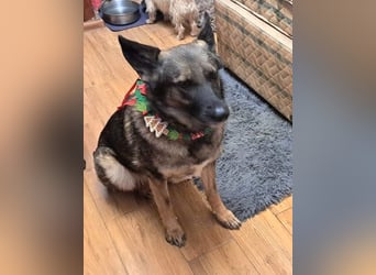 Emelia lebt bei einer Pflegefamilie in Rumänien