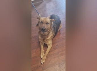  Luna sucht eine Pflege- oder Endstelle