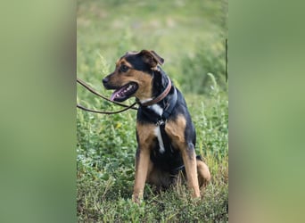 Lali SI - vom Fundhund zum besten Freund