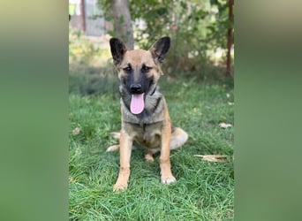 Manci KK – sucht aktive Familie