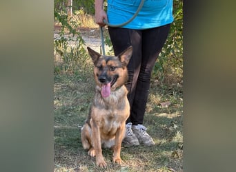 Edi – Eine lebensfrohe Frohnatur sucht ihre Abenteuer-Partner ✨