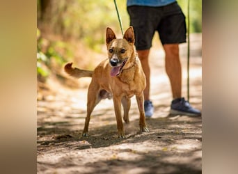 Fanny, 2 Jahre alt, 50 cm, möchte entdeckt werden