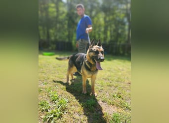 Ciklon, geboren 2022 sucht ihre Menschen