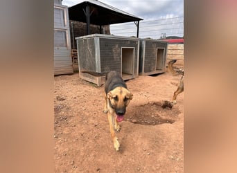 Wer holt Oria zu sich nach Hause?