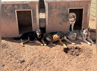 Wer holt Oria zu sich nach Hause?