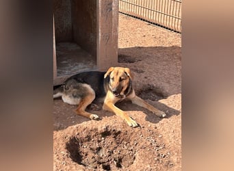 Wer holt Oria zu sich nach Hause?